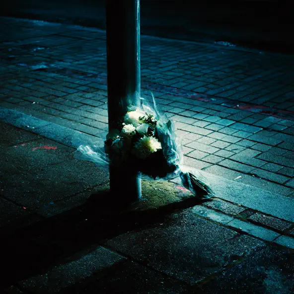 poizi artık sen yoksun